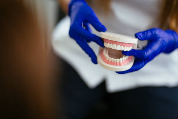 Coplay, PA Holistic Dental Care Services Company
